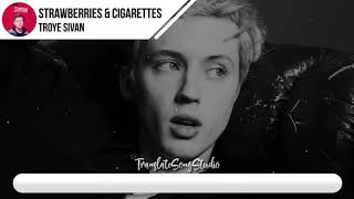 แปลเพลง Strawberries And Cigarettes  Troye Sivan [upl. by Hpotsirhc]