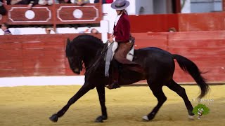 La Rejoneadora Lea Vicens y los caballos cartujanos [upl. by Aiasi850]