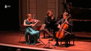 Van Baerle Trio  Arensky Piano Trio Op 32 Finale [upl. by Anirav77]