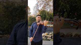 La Leçon particuliére violin cover music shorts [upl. by Muhcon]