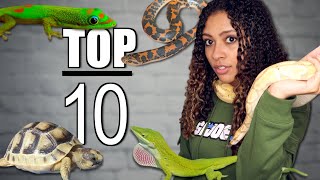 Top 10 Beginner Reptiles [upl. by Devlen]