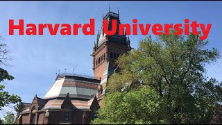 Harvard University Campus A Spring Tour [upl. by Fahland]