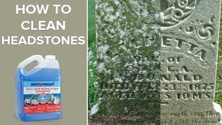 Wet And Forget Outdoor Headstone Cleaner [upl. by Ocin]