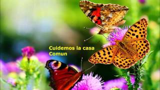 Cuidemos la casa comun [upl. by Eynttirb232]