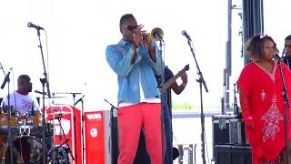 Troy Sawyer and the Elementz performs Ride My Train at French Quarter Fest in NOLA [upl. by Eiramassenav769]