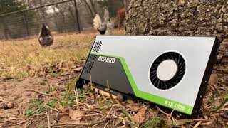 NEW Quadro RTX 4000 Seen in the Wild [upl. by Asaret]