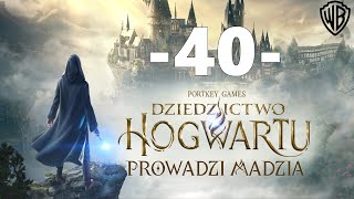 Dziedzictwo Hogwartu 40  Bohaterowie Hogwartu [upl. by Adnotal]