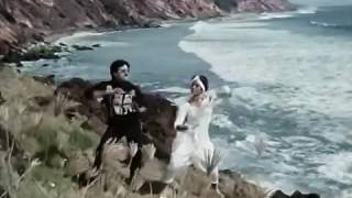 Radha radha madhilona mallela badha  State Rowdy  Rada Rada Song [upl. by Jary]