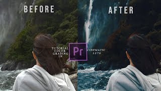 Cara Cepat Color Grading di Adobe Premiere Pro  FREE PRESET [upl. by Rodenhouse119]