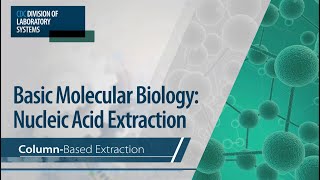 Basic Molecular Biology Nucleic Acid Extraction – ColumnBased Extraction [upl. by Jesse]