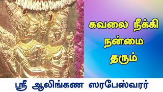 கவலை நீக்கி நன்மை தரும்  Sarabeswarar Temple  Koyambedu [upl. by Rozek]