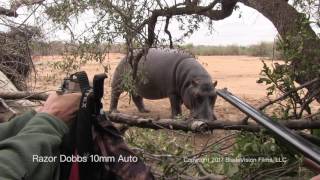 Razor Dobbs HIPPO 10mm auto close encounter standoff Handgun Hunting [upl. by Kris167]