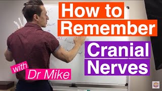 How To Remember Cranial Nerves [upl. by Onailime]