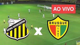 Assistir Novorizontino x Brusque ao vivo 🔴  Campeonato Brasileiro Série B [upl. by Collins]