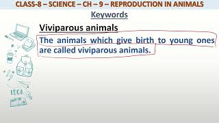 Definition of Viviparous animals for class 8 science [upl. by Cavit]