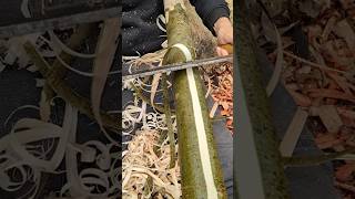 Real Appealable Trees archery bow woodwork wood ash satisfying woodworking cut bark fun [upl. by Sirtimid]