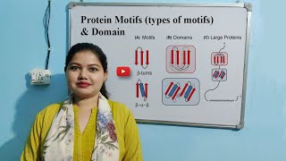 Protein Motifs amp Domains  Types of Motifs [upl. by Lorrin]