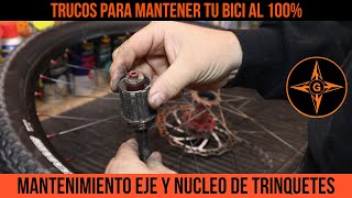 🚴‍♂️🛠 MANTENIMIENTO de EJE y NÚCLEO de TRINQUETES SHIMANO  GINESSOT [upl. by Horgan]