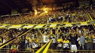 Sou Carvoeiro Sim Senhor LEGENDADOPORTBRA Torcida Os Tigres do Criciúma [upl. by Erelia657]