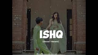 Ishq Lofi Lyrical Video I Amir Ameer  Faheem Abdullah  Rauhan Malik I Love Song 2024 [upl. by Obara]