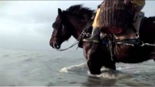 The last horse fishermen of Belgium [upl. by Adelina533]