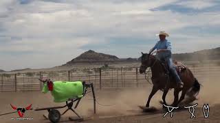 7K Roping  Something Steer Roping Sled Comparison [upl. by Ognimod]