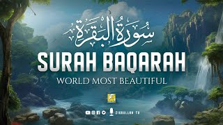 Surah Al Baqarah Full سورة البقره  Relaxing Calming amp Heart Touching Quran  Zikrullah TV [upl. by Ttcos]