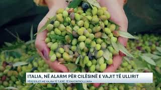 ITALIA NË ALARM PËR CILËSINË E VAJIT TË ULLIRIT [upl. by Yelad]