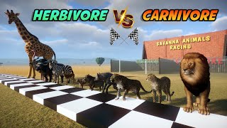 Carnivore VS Herbivore Savanna Animals Race in Flat Track included Lion Giraffe Ostrich amp Zebra [upl. by Kori]