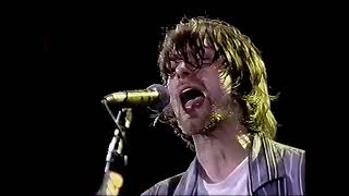 Nirvana  Scentless Apprentice Live At Hollywood Rock Festival Rio De Janeiro BR 1993 [upl. by Karna519]