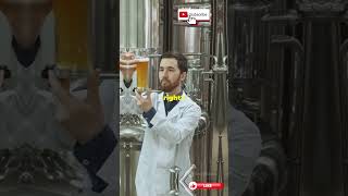 The Secrets of Craft Beer Brewing Process Unveiled viralvideo viralshorts food [upl. by Roda]