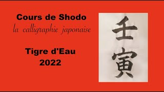 SHODO calligraphie japonaise  Tigre dEau [upl. by Egarton]