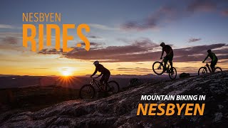 MTB Mountain biking in Nesbyen Norway [upl. by Hastings]