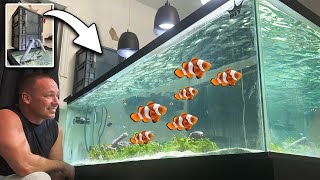 Top 8 DIY Mini Aquarium Decoration Ideas How To Make Aquascape Fish Tank At Home Ideas MR DECOR 186 [upl. by Jemmy]