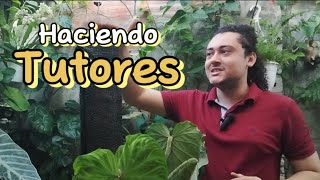 Tutores faciles para que tus plantas trepadoras crezcan [upl. by Ecilegna]