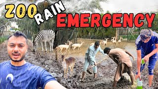 Animals Ka Kiya huwa Tofani barish K bad  zoo after rain [upl. by Oidiple465]