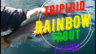 Triploid trout trolling fishing with leech pattern Long Lake Vancouver Island BC Canada [upl. by Namharludba]