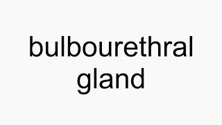 How to pronounce bulbourethral gland [upl. by Ahsiema]