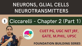 Ciccarelli Chapter 2  Part 1  Neurons Glial Cells Neurotransmitters  Mind Review [upl. by Pages379]