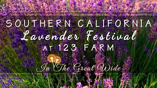 Lavender Festival Day Trip from Los Angeles to 123 Farm [upl. by Fadiman]