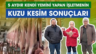 5 Aydır Kendi Yemini Yapan İşletmenin Kuzu Kesim Sonuçları [upl. by Nhguavoj]