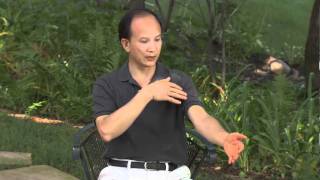 Spring Forest Qigong Demo quotHow Your Energy System Worksquot [upl. by Fulton]