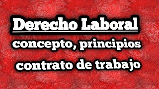 Derecho Laboral Concepto funciones y contrato de trabajo [upl. by Sinegra]