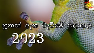 Hunan aega wetime palapala Astrologyhunan aega wetima jaya sri wasana හූනන් ඇඟ වැටීමේ පලාපල 2023 [upl. by Immat]