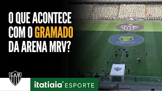 JOGADORES DO ATLÉTICO VOLTAM A CRITICAR A QUALIDADE DO GRAMADO QUAL A SOLUÇÃO [upl. by Marduk960]