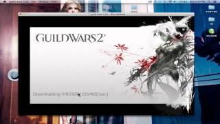 Guild wars 2 wineskin mac guide Works [upl. by Sura]