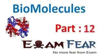 Chemistry Biomolecules part 12 Polysaccharides starch cellulose glycogen CBSE class 12 XII [upl. by Townshend]