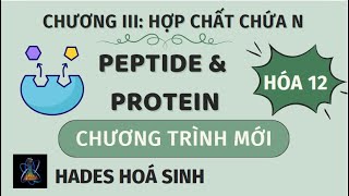 HÓA 12 CT MỚI  LÝ THUYẾT PEPTIDE  PROTEIN  ENZYME [upl. by Anavi]