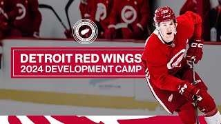 A Look Into Detroit Red Wings Development Camp [upl. by Alisha612]