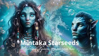 Mintaka Starseed  МИНТАКА ЗВЕЗДНЫЕ ДУШИ 🪸🫧 [upl. by Johannessen]